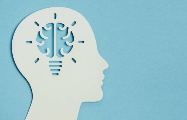 ¿Qué es la neuropedagogía y cuál es su importancia en la educación?